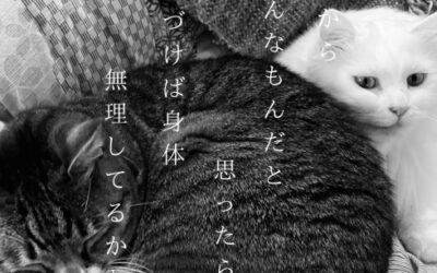 寒いからと放っておくと・・・