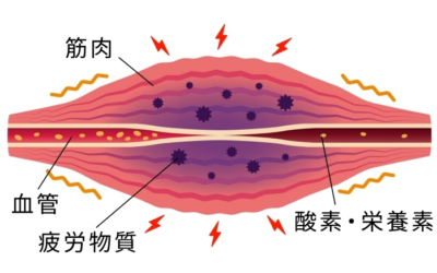 身体の回復には血流が必要