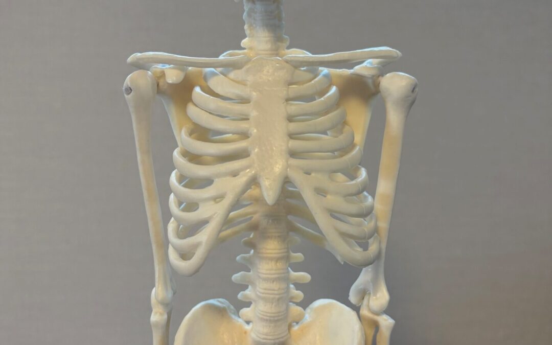 姿勢不良→美姿勢