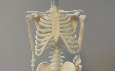 姿勢不良→美姿勢